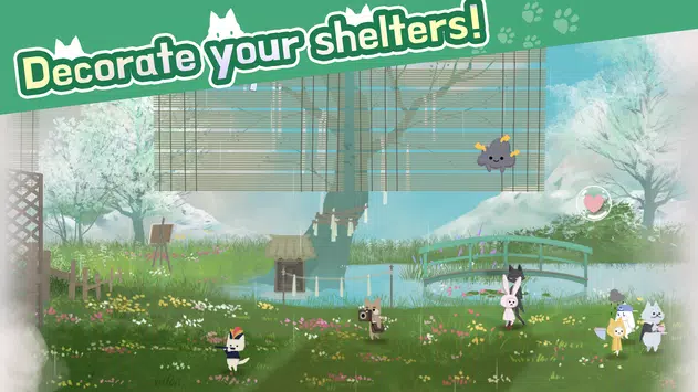 猫猫庇护所与动物朋友们CatShelter