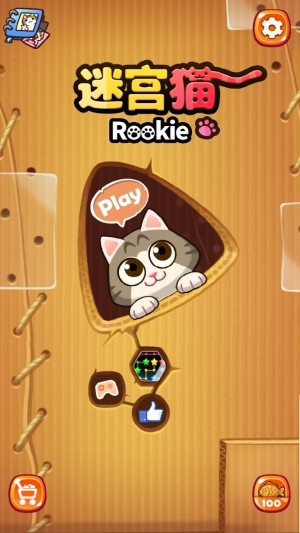 迷宫猫rookie