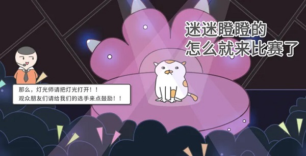 主播和猫的故事