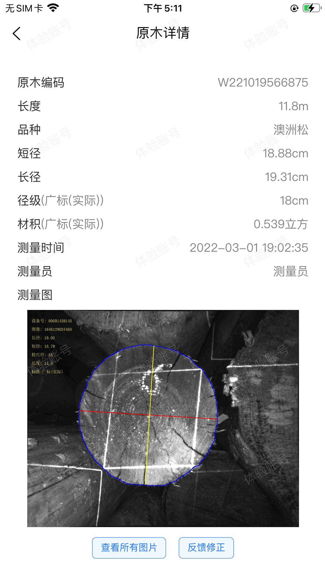 测木王