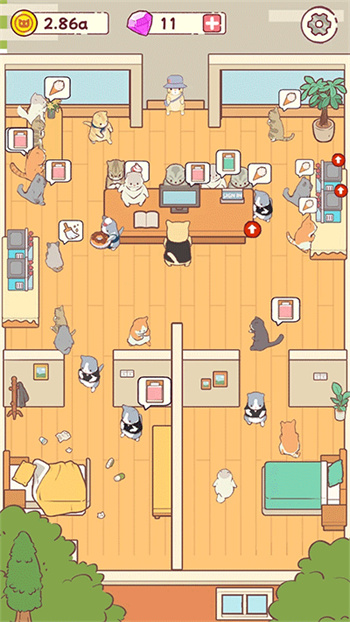 cat hotel